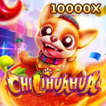xoso666 Fachai Chihuahua Portrait